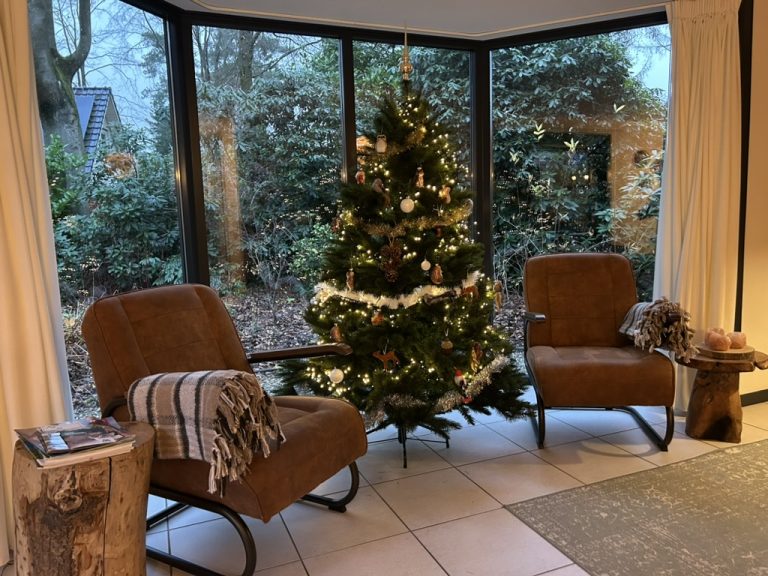Villa Viola Epe kerstboom