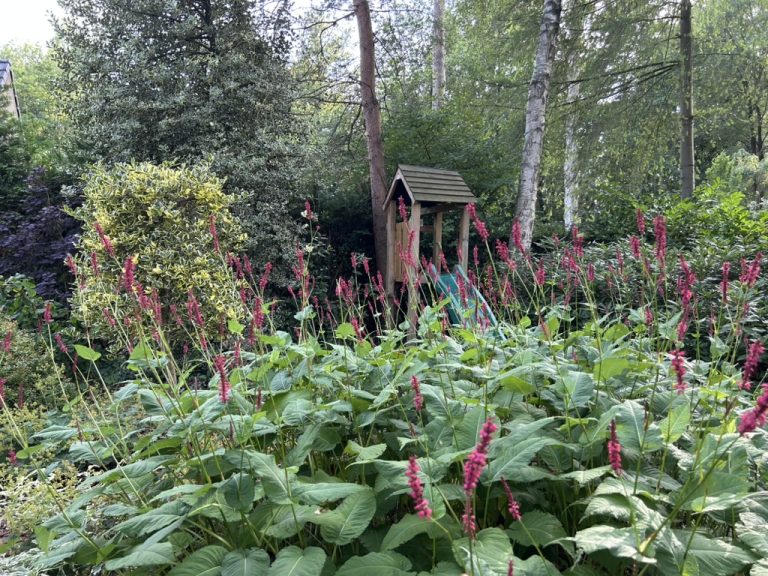 Villa Viola Epe tuin met speeltoestel